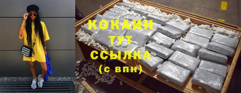 Cocaine Fish Scale  MEGA ONION  Камызяк  наркотики 