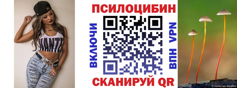 Галлюциногенные грибы Psilocybe  Камызяк 